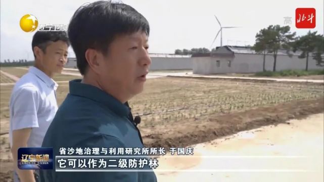除了研究新树种,努力让人工林发展为天然林,沙地所新一任所长于国庆