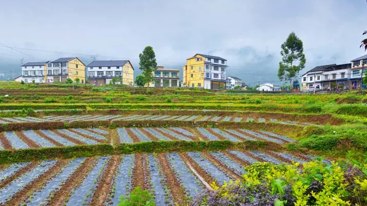 綦江区有几个镇