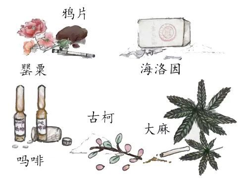 毒品是指鸦片,海洛因,甲基苯丙胺(冰毒,吗啡,大麻,可卡因以及国家