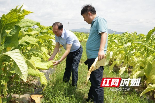 红网时刻新闻6月28日讯(通讯员 唐静 蒋君凤)6月27日,东安县政协主席