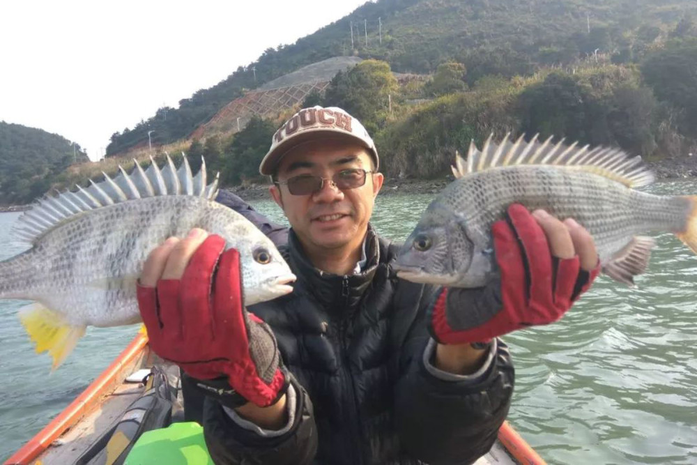 夏季怎样钓黑鲷钓位线组鱼饵和钓法夏季钓黑鲷的有效技巧