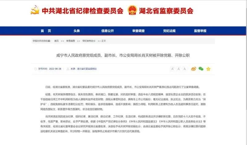 为他人删除负面帖文牟利湖北一公安局原局长被查