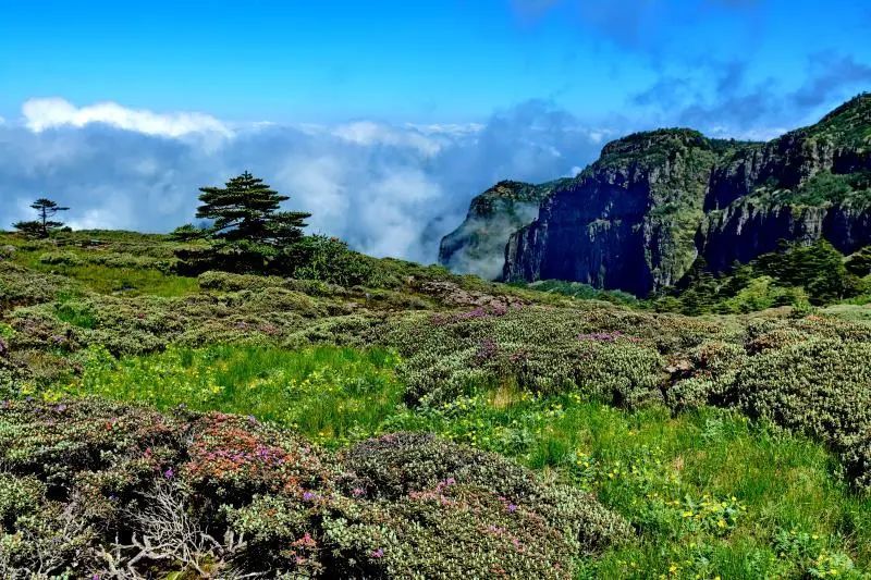 "滇中第一山"彝人圣山—轿子山不想去远方,那就推荐你去离昆明