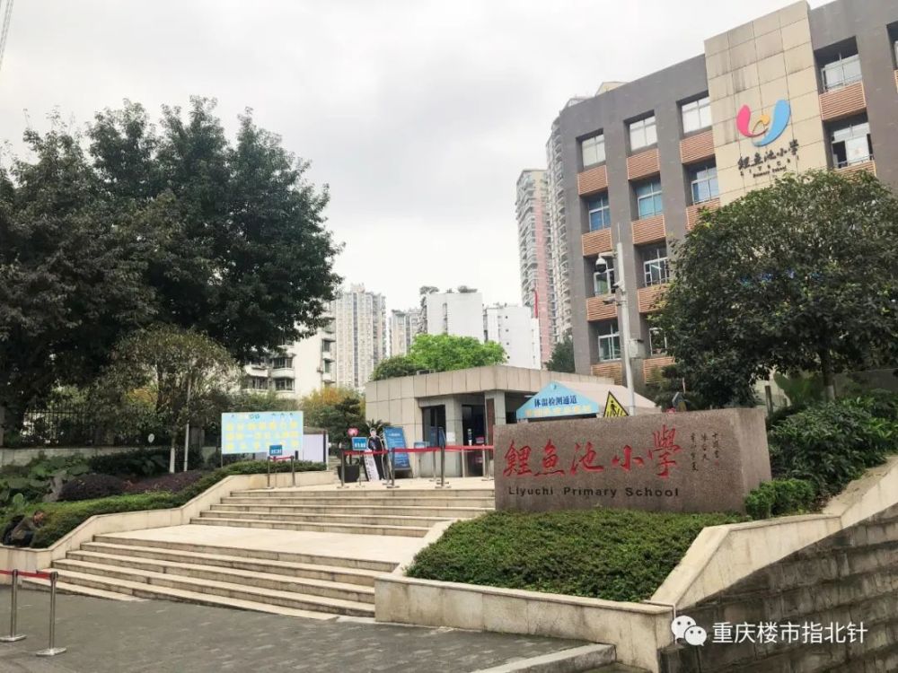 世纪中环,森柯自然印象,极鼎城市丽都,商委楼离鲤鱼池小学比较近.