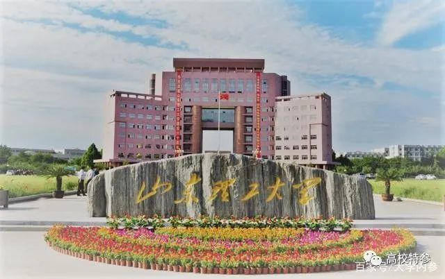 山东工艺美术学院以452分,位次258981,排山东省二段大学第三名.