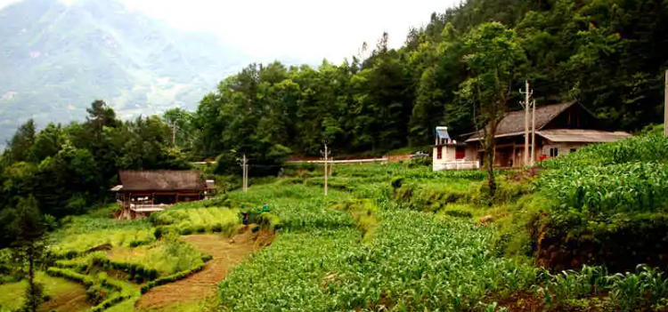 地处鹤峰县东北部,东与五峰县牛庄乡接壤,南接燕子乡,西接下坪乡,北与