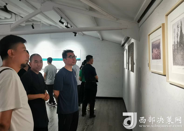 寶雞十方畫廊【候鳥丨個案即整體】畫展盛大開幕(圖4)