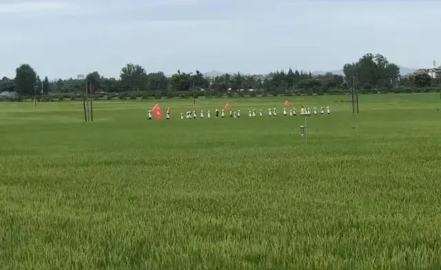 2022德陽日報(bào)社小記者夏令營招募快樂小農(nóng)夫(圖3)
