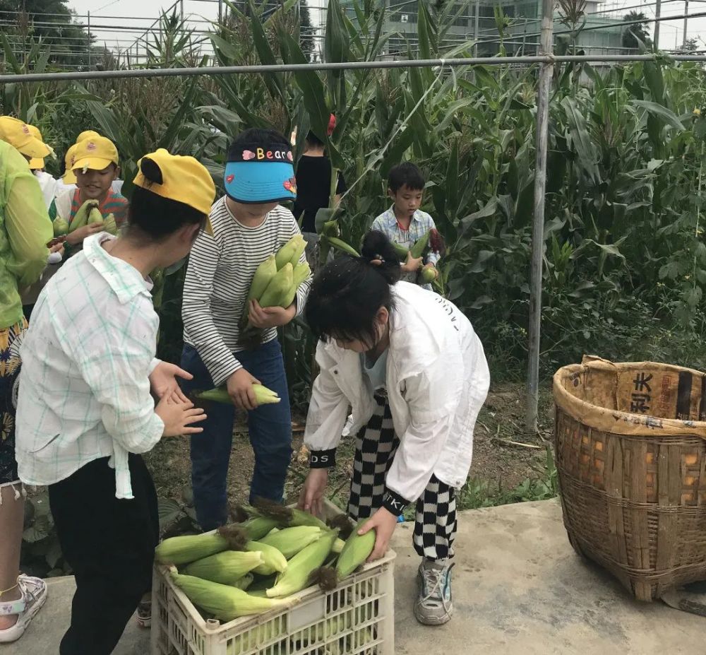 2022德陽日報(bào)社小記者夏令營招募快樂小農(nóng)夫(圖6)