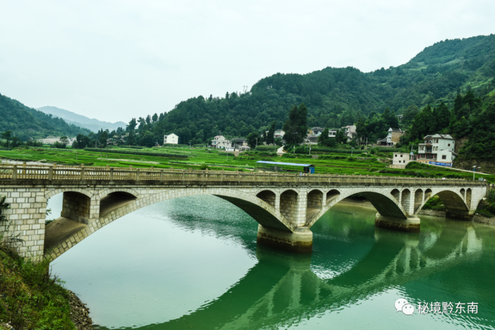 时讯镇远县蕉溪镇以荷为媒成就美丽经济新钱景