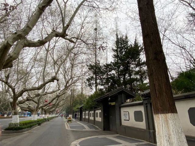 江苏路,西康路,灵隐路,普陀路,牯岭路,莫干路,天竺路,珞珈路,北京西路