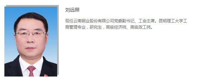 云南铜业工会主席刘远照被查