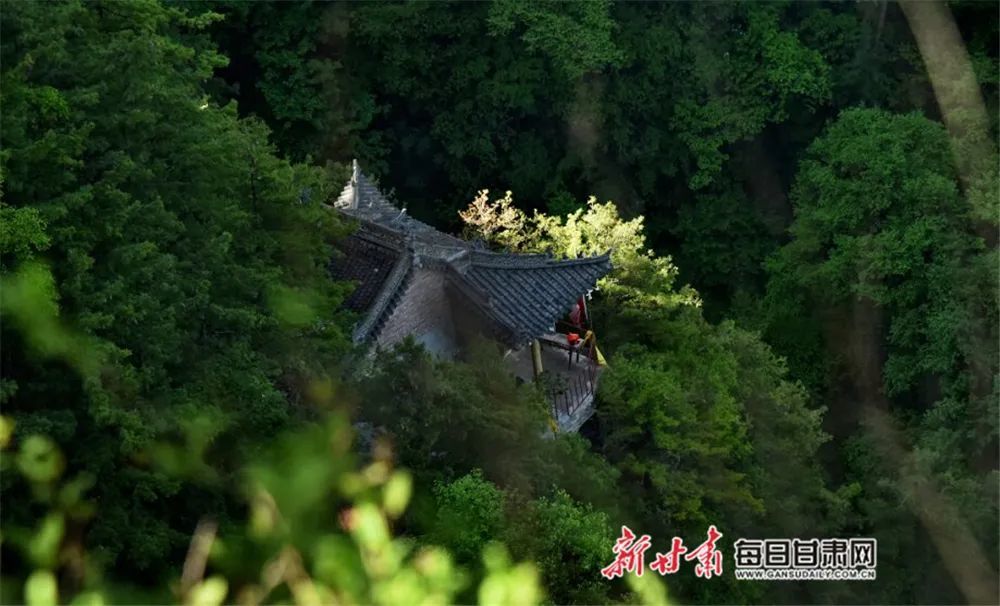 中省媒体看平凉丨夏日在华亭关山坐看云起静听松涛