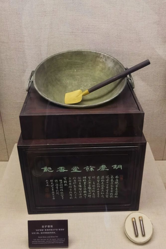 活动回顾金铲银锅手工泛丸小记者通过游听做悟领略中医药文化魅力