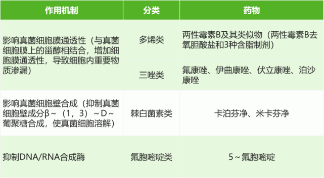 氟康唑|抗真菌药|伏立康唑|抗真菌药物|两性霉素b