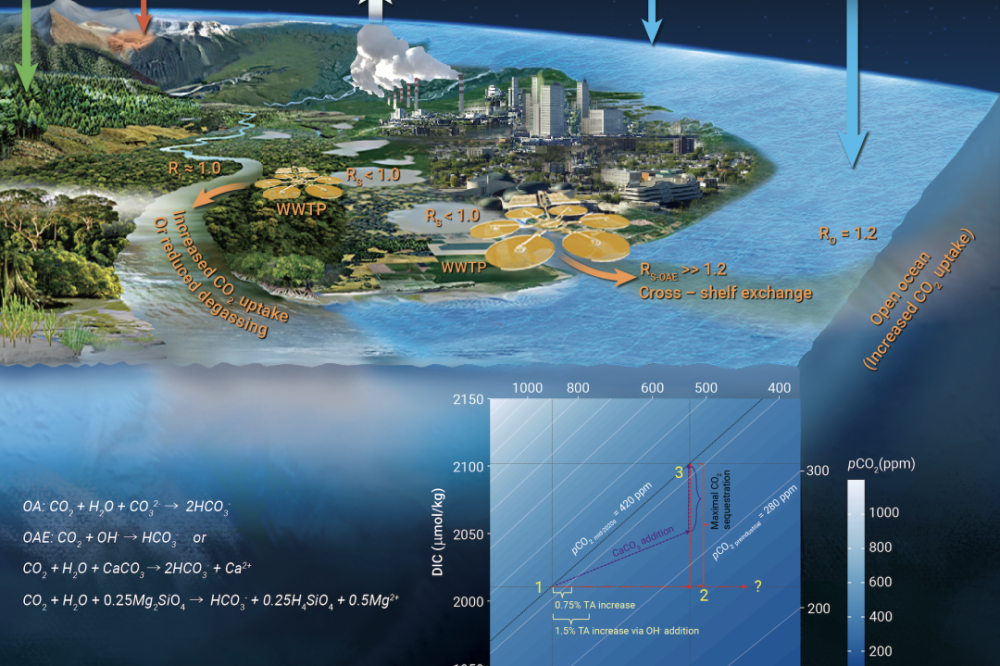 5commentariesglobal impacts of covid-19 on sustainable ocean