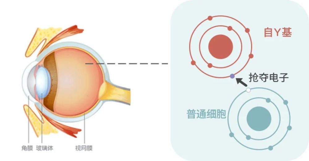 用眼过度快试试这种眼罩