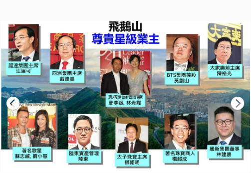 2015年,飞鹅山豪宅区曾发生过一起恶性入户盗窃绑架案,事主是香港"