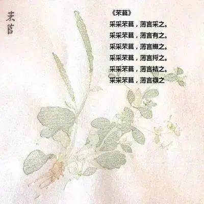 诗经芣苢采采芣苢薄言采之