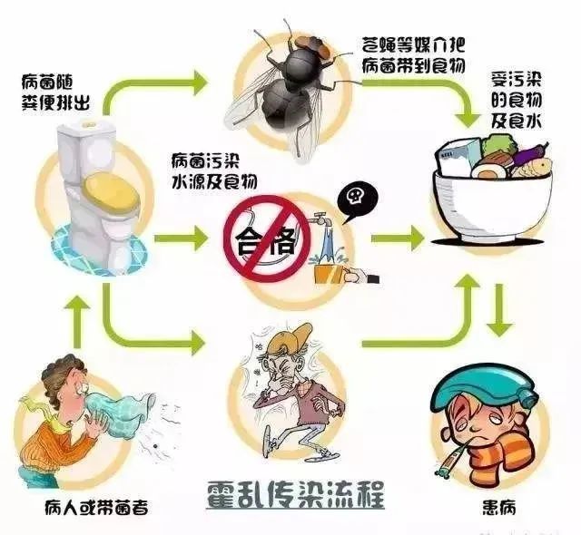 霍乱是什么 腾讯网