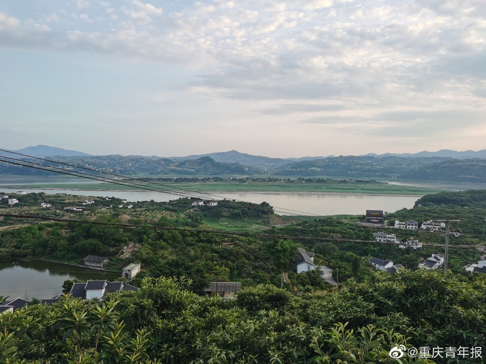 在希望的田野上重庆涪陵中药材果树种植共同推动乡村振兴