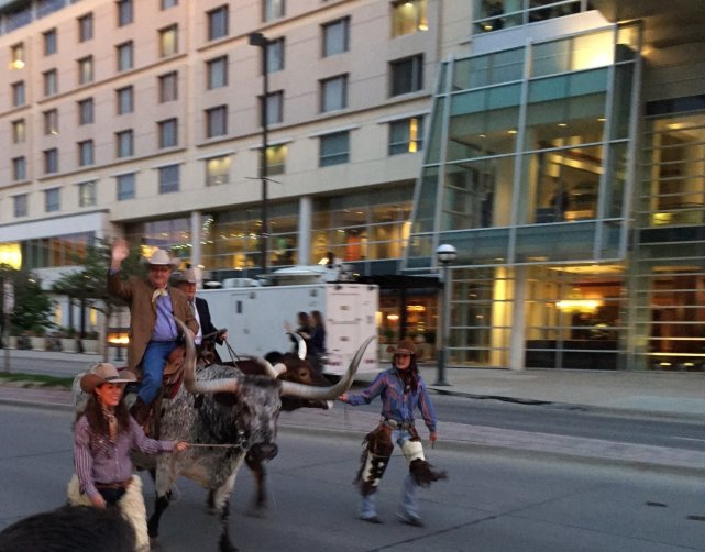 不看就输了!巴菲特股东大会的另类占座经济学