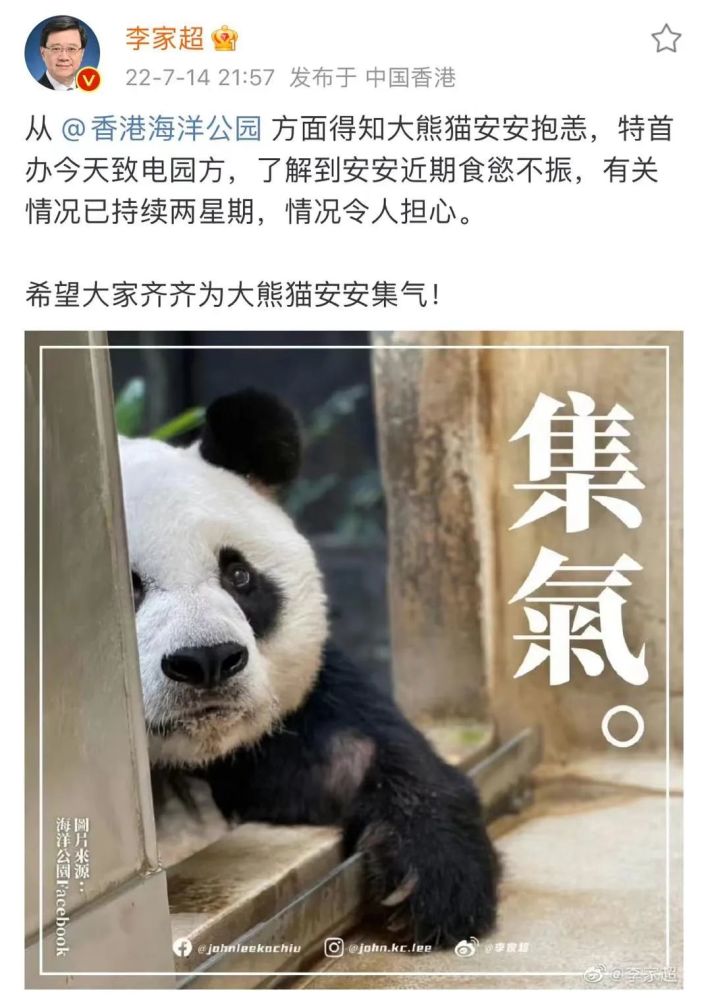 李家超吁为大熊猫安安集气