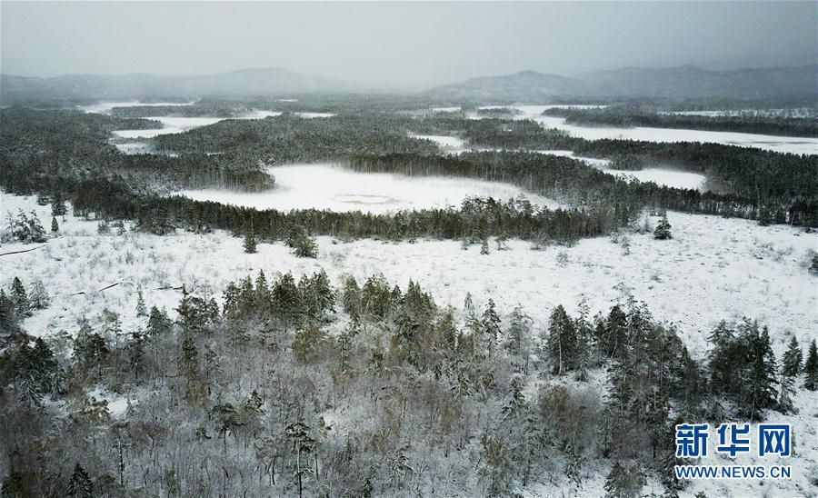 乍暖还寒 中国东北地区立夏下起大雪 (高清组图)