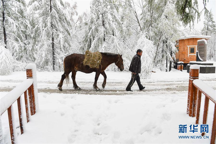 乍暖还寒 中国东北地区立夏下起大雪 (高清组图)