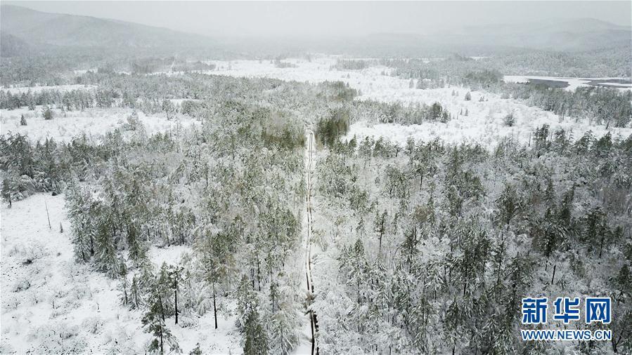 乍暖还寒 中国东北地区立夏下起大雪 (高清组图)