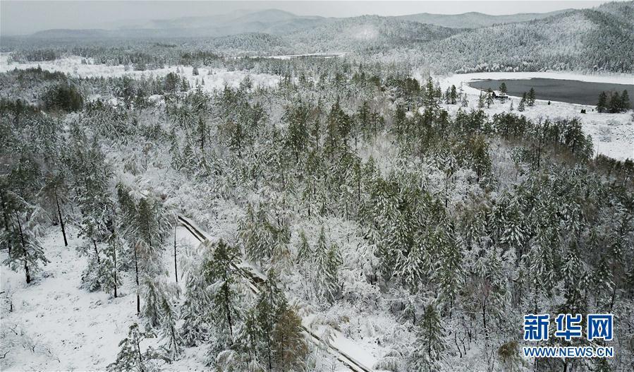 乍暖还寒 中国东北地区立夏下起大雪 (高清组图)