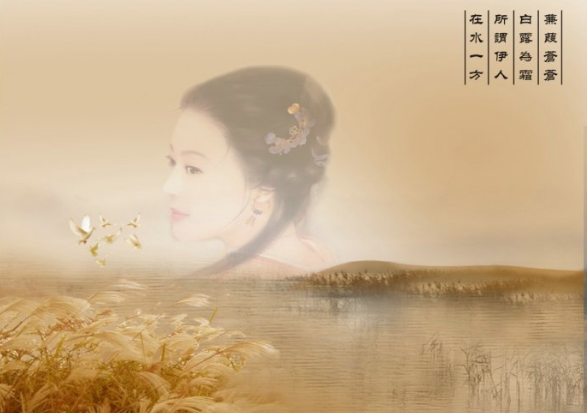《诗经》窈窕淑女 君子好逑和所谓伊人 在水一方的意境究竟有多美