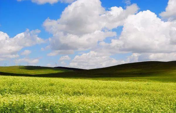 在这个平均最高温度只有18℃的避暑好地方里,辉腾锡勒早已经成夏天的