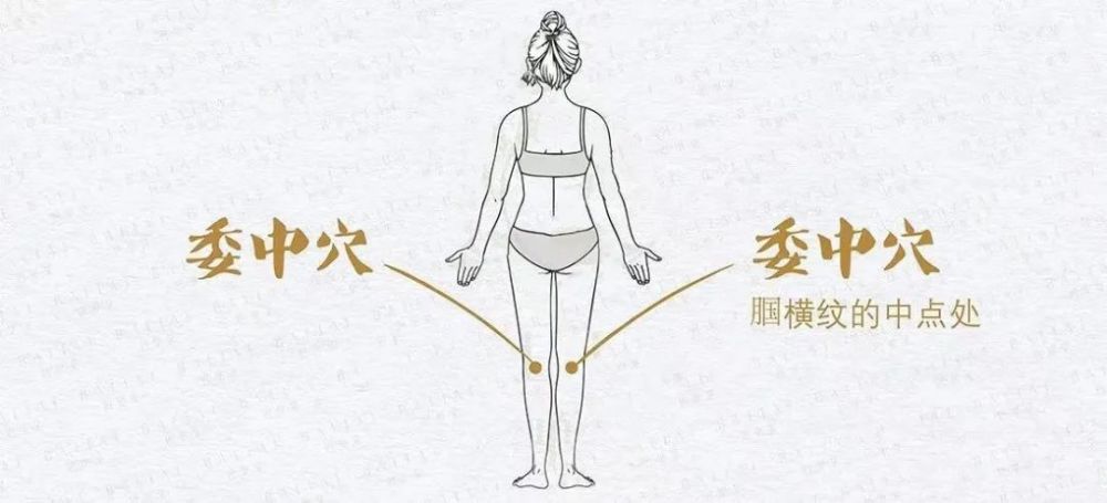 腿上藏着一个养生窝护关节缓疲劳每天按按超有用