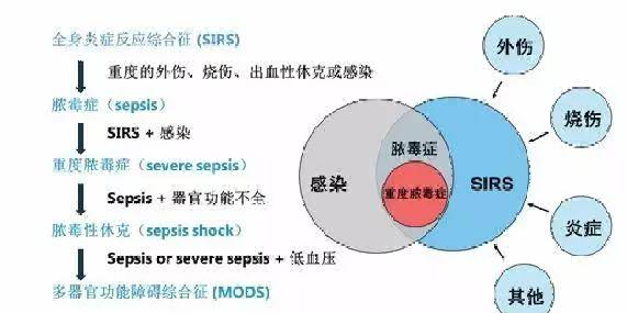 脓毒症是指由感染引起的全身炎症反应综合征.