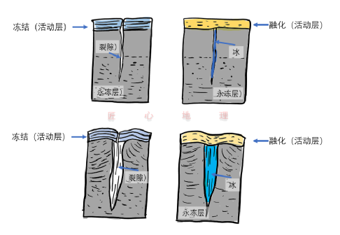 冰楔的形成先是地表形成裂隙,地表水注入再冻结而成脉冰,由于脉冰常