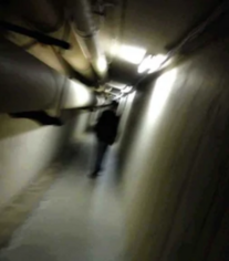 后室后房thebackrooms真起源及背景介绍