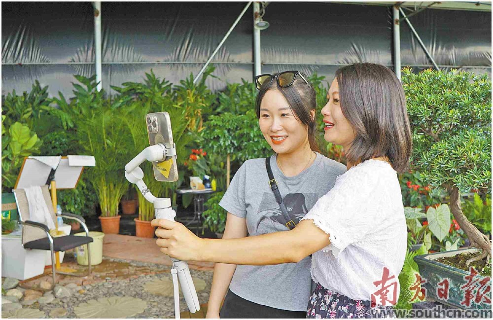 谢恬 摄在一条被花木包裹的小径上"探花姐姐"刘华华手捧花木,活力