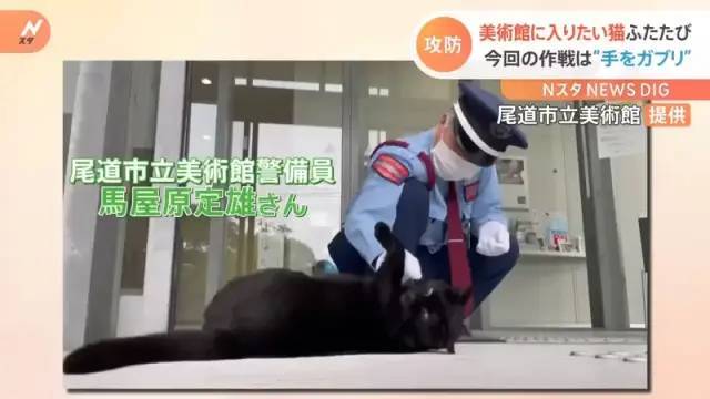 猫猫与警卫大叔的攻防战《黑猫小健想到了咬咬新招》这是想撒娇还是想