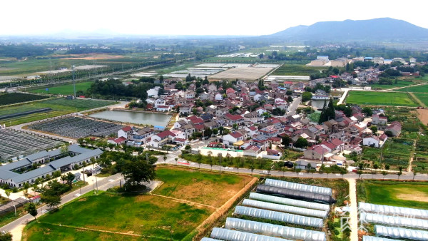 南京溧水石头寨村红色沃土上栽出致富果行走新时代鱼米之乡