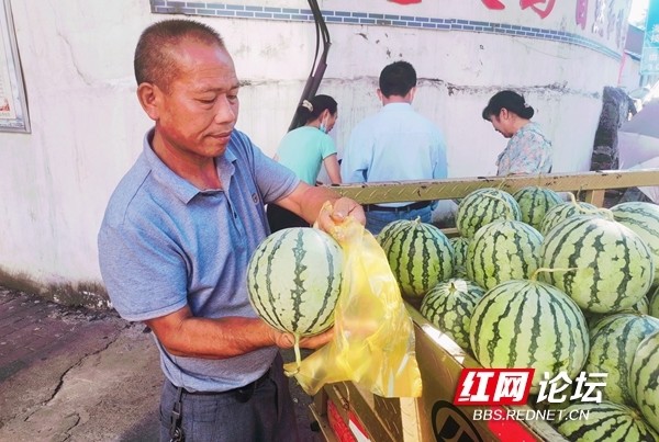 每到夏天,街上随处可见西瓜摊老板,拉着一车满满的瓜,喇叭里传出,"