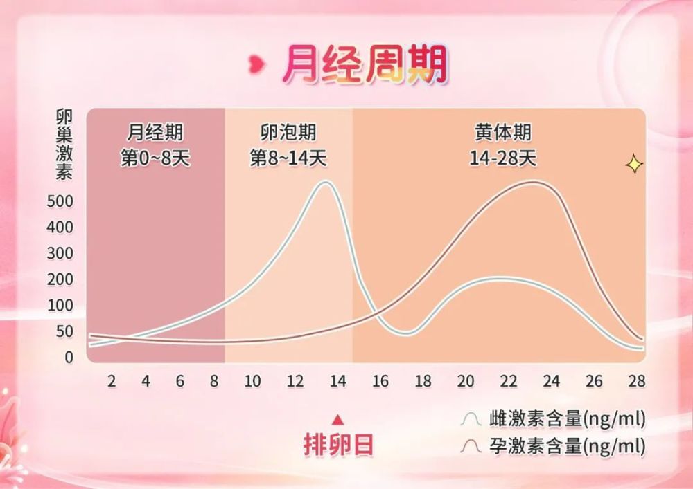 女生黄体期 腾讯网