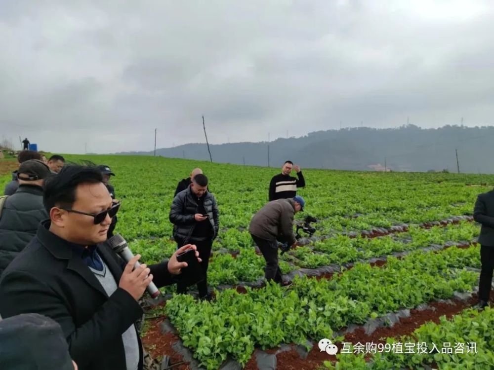 朱立志中医农业生态科技治理云南杞麓湖农业源污染效果显著