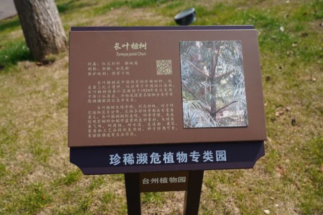 台州植物园珍稀濒危植物园