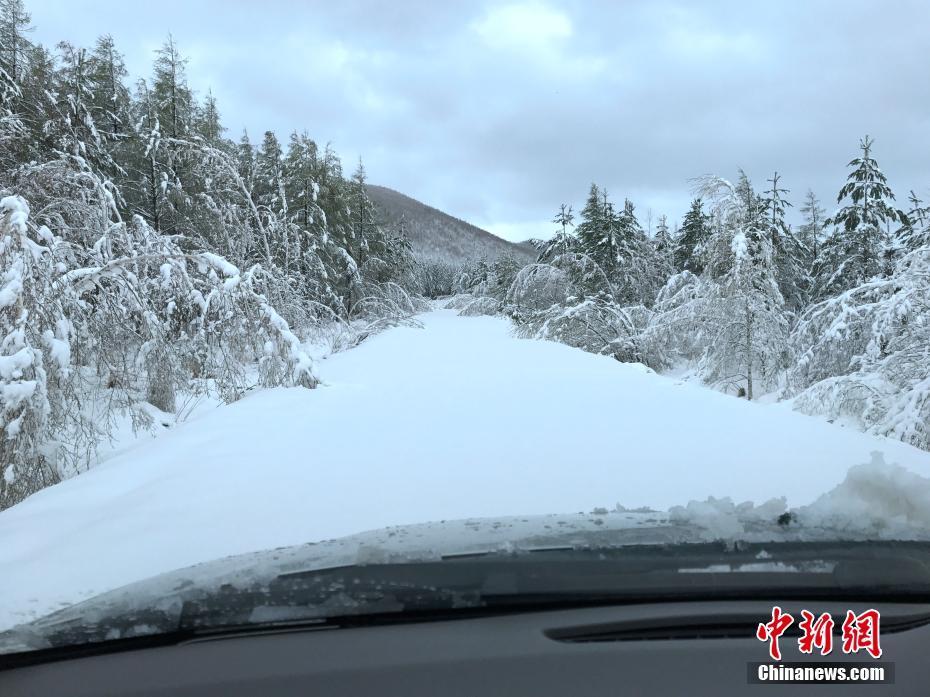 乍暖还寒 中国东北地区立夏下起大雪 (高清组图)