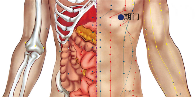 期门:位于胸部,当乳头直下(乳头为第4肋间隙,第6肋间隙凹陷处.
