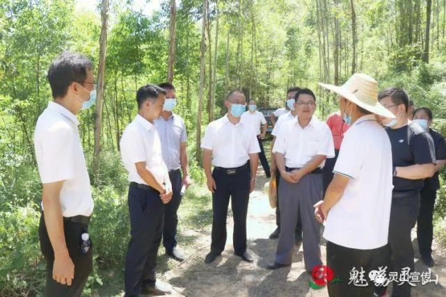 赵文博张海兵调研平陆运河先导建设工程一期灵山段建设工作