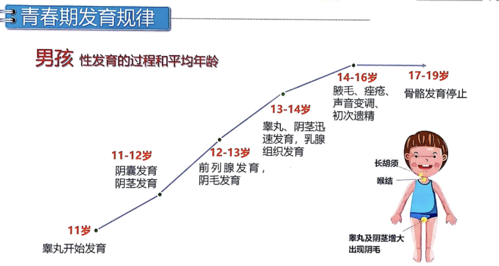 青春期长个冲刺期如何帮助孩子长更高