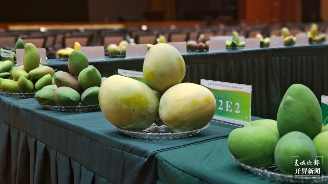 [南方生姜网-图片加载]