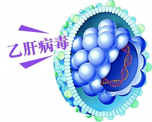 世界肝炎日和乙肝病人一起生活会被传染吗